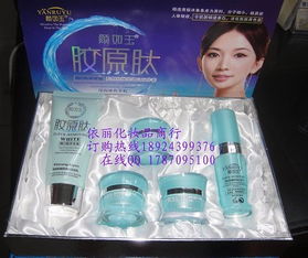 家居日用品 品質(zhì)生活的基礎與藝術(shù)